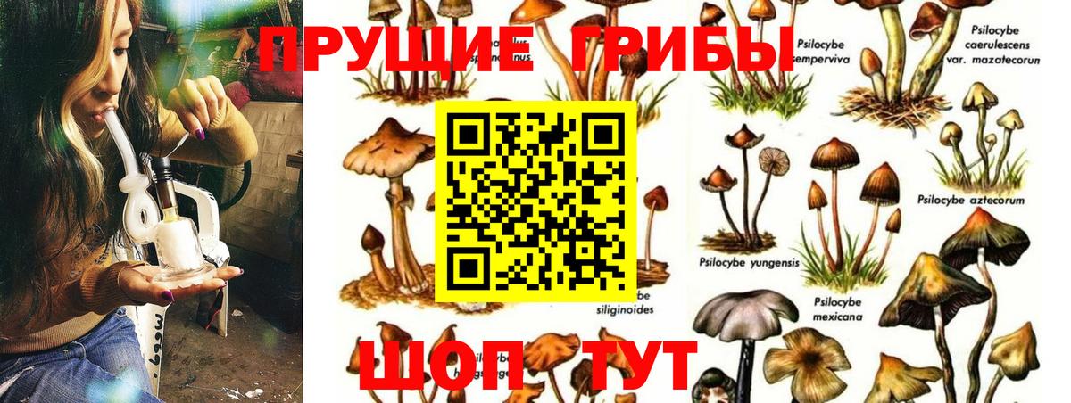 Тобольск  Псилоцибиновые грибы MAGIC MUSHROOMS  купить наркотик  Вход с VPN 